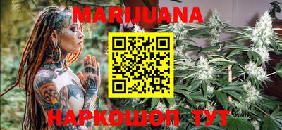 шишки Новокубанск