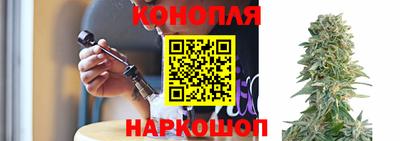 шишки Новокубанск