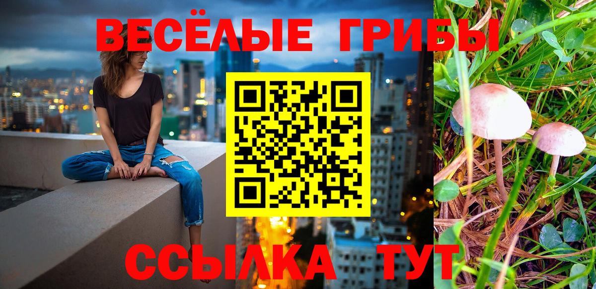 Галлюциногенные грибы Psilocybine cubensis  Вход с VPN  Соль-Илецк  Псилоцибиновые грибы MAGIC MUSHROOMS 